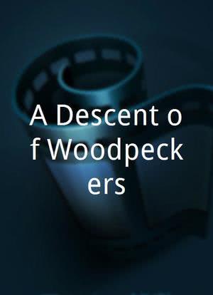 A Descent of Woodpeckers海报封面图