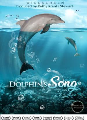 Dolphin's Song海报封面图