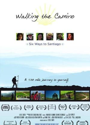 Walking the Camino: Six Ways to Santiago海报封面图