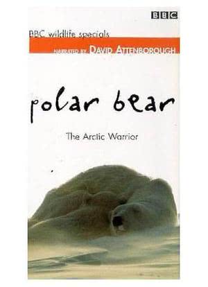 野生动物系列 北极熊：北极勇士海报封面图