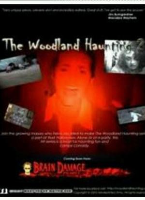 The Woodland Haunting 2海报封面图
