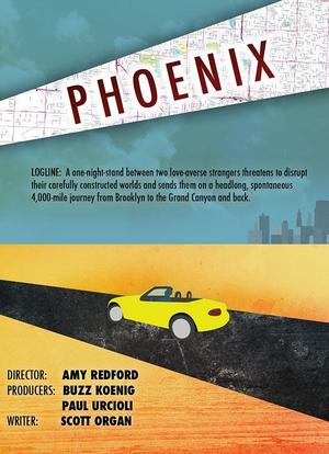 Phoenix海报封面图