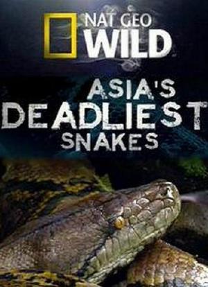 國家地理：亞洲毒蛇之最National.Geographic.Asia's.Deadliest.Snakes海报封面图