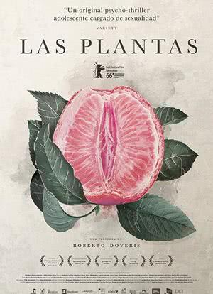 植物人海报封面图