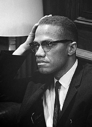 Malcolm X: A Search for Identity海报封面图