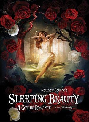 《睡美人》的诞生海报封面图