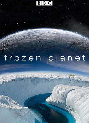 冰冻星球海报封面图