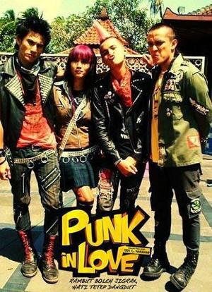 Punk in Love海报封面图