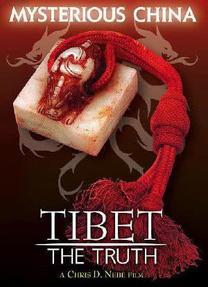 真实西藏海报封面图