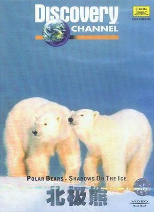 北极熊：冰上魅影海报封面图