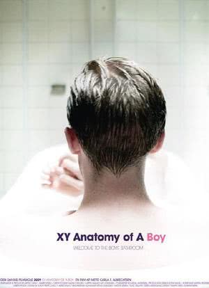 男孩解剖海报封面图