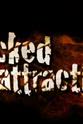 Rachel Seidman-Lockamy Wicked Attraction