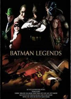 蝙蝠侠传奇海报封面图