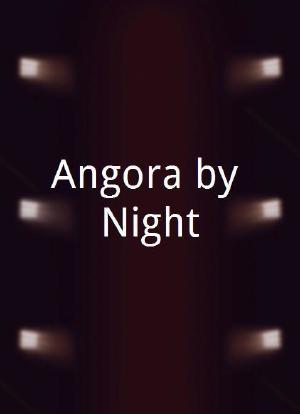 Angora by Night海报封面图