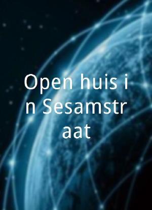 Open huis in Sesamstraat海报封面图