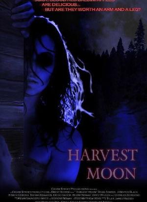 Harvest Moon海报封面图