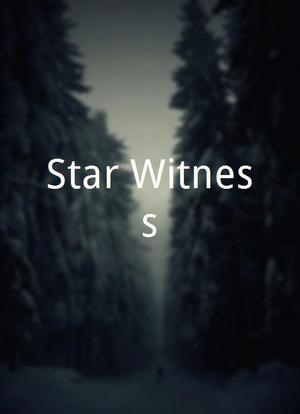 Star Witness海报封面图