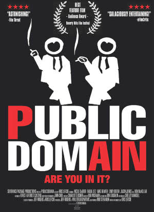 Public Domain海报封面图