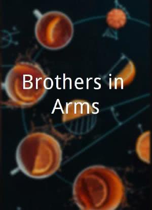 Brothers in Arms海报封面图