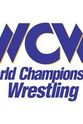 大卫·谢尔登 WCW Saturday Morning