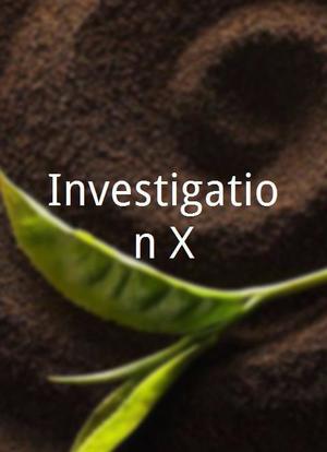 Investigation X海报封面图