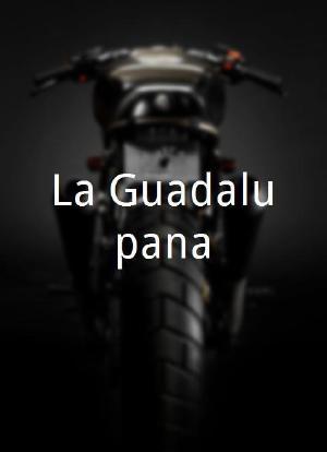 La Guadalupana海报封面图