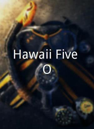 Hawaii-Five O海报封面图
