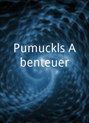 Pumuckls Abenteuer海报封面图
