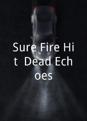 Sure Fire Hit: Dead Echoes海报封面图