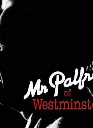 Mr. Palfrey of Westminster海报封面图