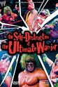 Richard 'Renegade' Wilson The Self Destruction of the Ultimate Warrior
