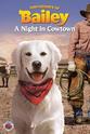 Ouida White Adventures of Bailey: A Night in Cowtown