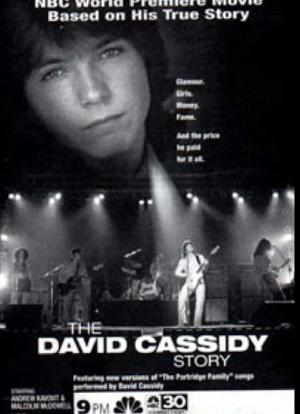 The David Cassidy Story海报封面图