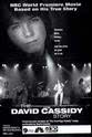 Christopher Johnson The David Cassidy Story