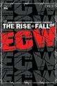 Jason Knight WWE: The Rise & Fall of ECW