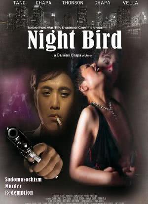 Night Bird海报封面图