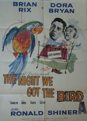 The Night We Got the Bird海报封面图