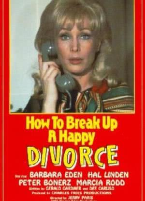How to Break Up a Happy Divorce海报封面图