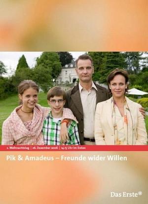 Pik & Amadeus - Freunde wider Willen海报封面图