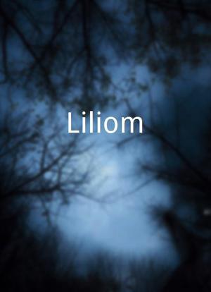 Liliom海报封面图