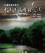 中国国家森林公园海报封面图