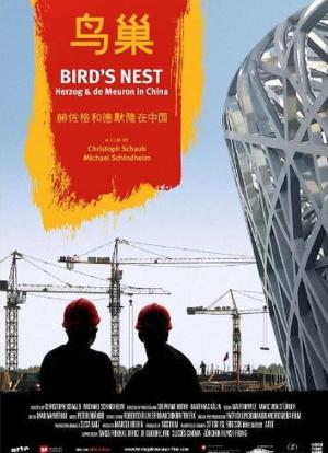 鸟巢——赫尔佐格和德梅隆在中国海报封面图