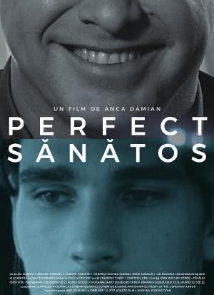 Perfect Sanatos海报封面图