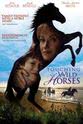 Danielle Bouffard Touching Wild Horses