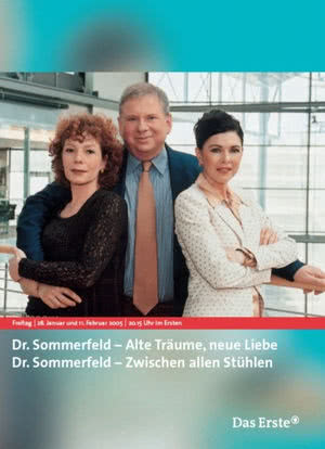 Dr. Sommerfeld - Alte Träume, neue Liebe海报封面图