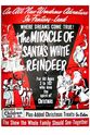 Ruthie Robinson The Miracle of the White Reindeer
