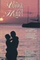 Deborah Gray Voyage of the Heart