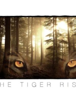 The Tiger Rising海报封面图