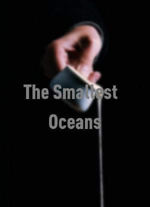 The Smallest Oceans海报封面图