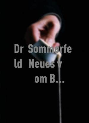 Dr. Sommerfeld - Neues vom Bülowbogen海报封面图